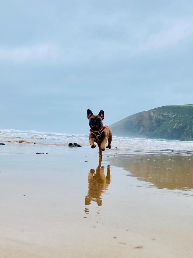 Daphne'S Lodge Mawgan Porth Kültér fotó